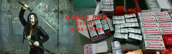 MDMA Premium VHQ Новокубанск